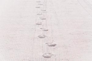 The footprint on the beach photo