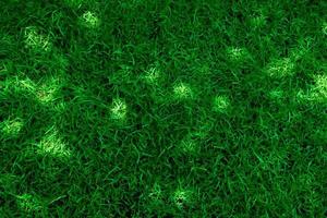 Nature spring green grass background texture and Summer season background with light some spots photo