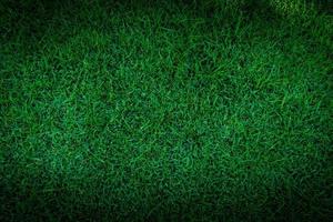 Football field green grass pattern texture background,Texture grass for background photo