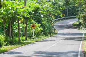 Countryside road with trees on both sides,Curve of the road and Traffic Signs photo