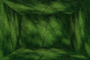 Perspective Grass Green wall and floor interior background photo