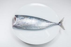 atún pescado crudo en blanco plato en blanco antecedentes foto
