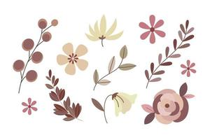 Set of floral illustration element vector