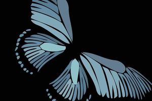 Abstract beauty of butterfly wing vector