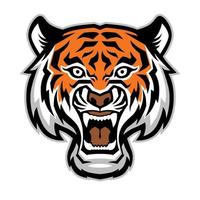 tiger head mascot vector