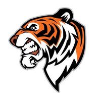 tiger head mascot vector