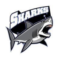 great white shark mascot vector