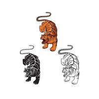 Tigers illustration collection on white background vector