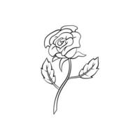 Rosa flor ilustración en blanco antecedentes vector