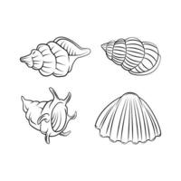 Sea Shell illustration on white background collection vector