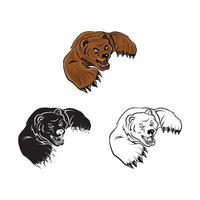 Bears illustration collection on white background vector