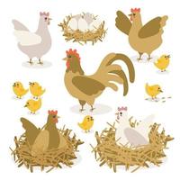 pollos de colores vectoriales, pollos y huevos de pollo. una ilustración de garabatos aislado sobre un fondo blanco. un conjunto de pájaros para pascua, decoración, invitación, postales. vector