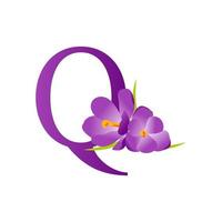 inicial q flor logo vector