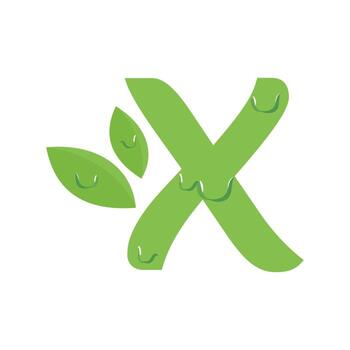inicial X hoja Rocío vector