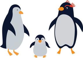 familia de pingüinos vector