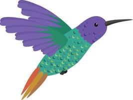 pájaro colibrí ilustración vector