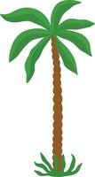 Palm tree illustration vector