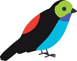 Paradise tanager bird illustration vector