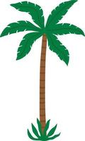 Palm tree illustration vector