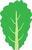lettuce leaf illustration vector
