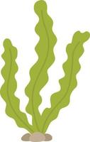 Sea plants, aquatic marine algae, seaweed vector