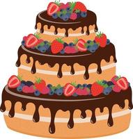 cake with chocolate and berries vector