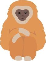 Gibbon primate mammal. Monkey vector