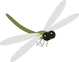 libélula ilustración insecto vector