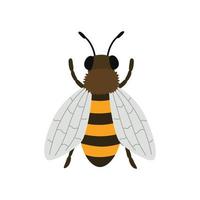 Bee top view vector