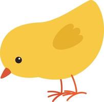 chicken yellow illustration vector