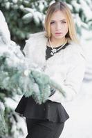 Glamor young blonde posing in winter photo