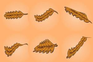 Set of autumn brown leaves - fallen leaf vector