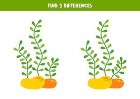 Find 3 differences between two cute sea weeds. vector