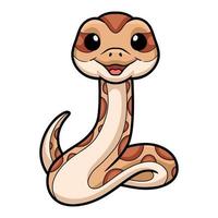 Cute daboia russelii snake cartoon vector