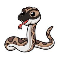 Cute python molurus bivittatus cartoon vector