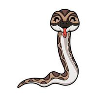 Cute python molurus bivittatus cartoon vector