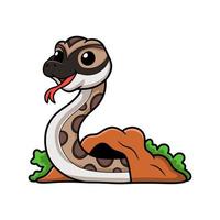 Cute python molurus bivittatus cartoon out from hole vector