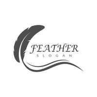 feather logo vector template and symbol design