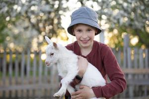 A small village boy holds a goat in his hands and smiles.Child on a farm with animals. Agriculture. photo