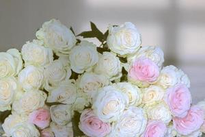 Bouquet of white roses close-up. photo