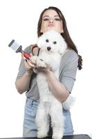 Young professional groomer with pets. She is posing with an instrument. Bichon dog and girl hairdresser. photo