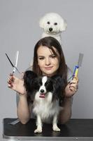 joven profesional peluquero con mascotas. ella es posando con un instrumento. Papillon y bichón perro con peluquero muchacha. foto
