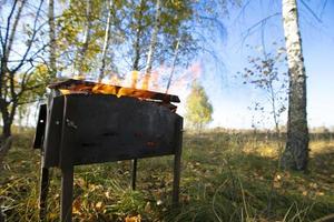 A fire burns in the brazier against the backdrop of nature and forest. photo