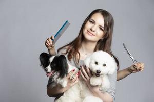 joven profesional peluquero con mascotas. ella es posando con un instrumento. Papillon y bichón perro con peluquero muchacha. foto