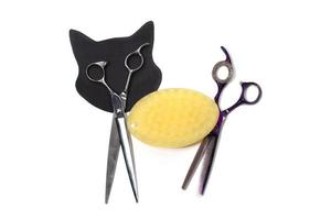 conjunto de diferentes peines y cepillos para el aseo de mascotas sobre un fondo blanco con reflejo de sombra. una figurita de gato creativa hecha con herramientas de aseo.