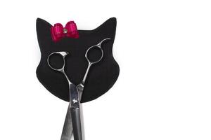 Set of different combs and brushes for grooming pets on a white background with shadow reflection. A creative cat figurine made from grooming tools. photo