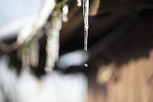 Icicles drip from the roof. The arrival of spring. photo