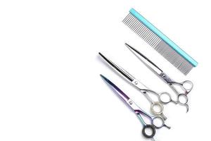 Groomer tool. Set of various combs and scissors for pet hair care on a white background. photo