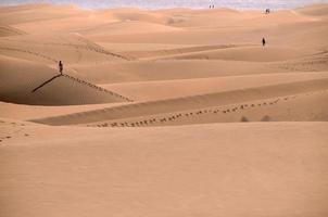 Scenic desert landscape photo