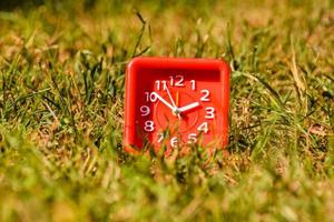 Red clock in grass photo